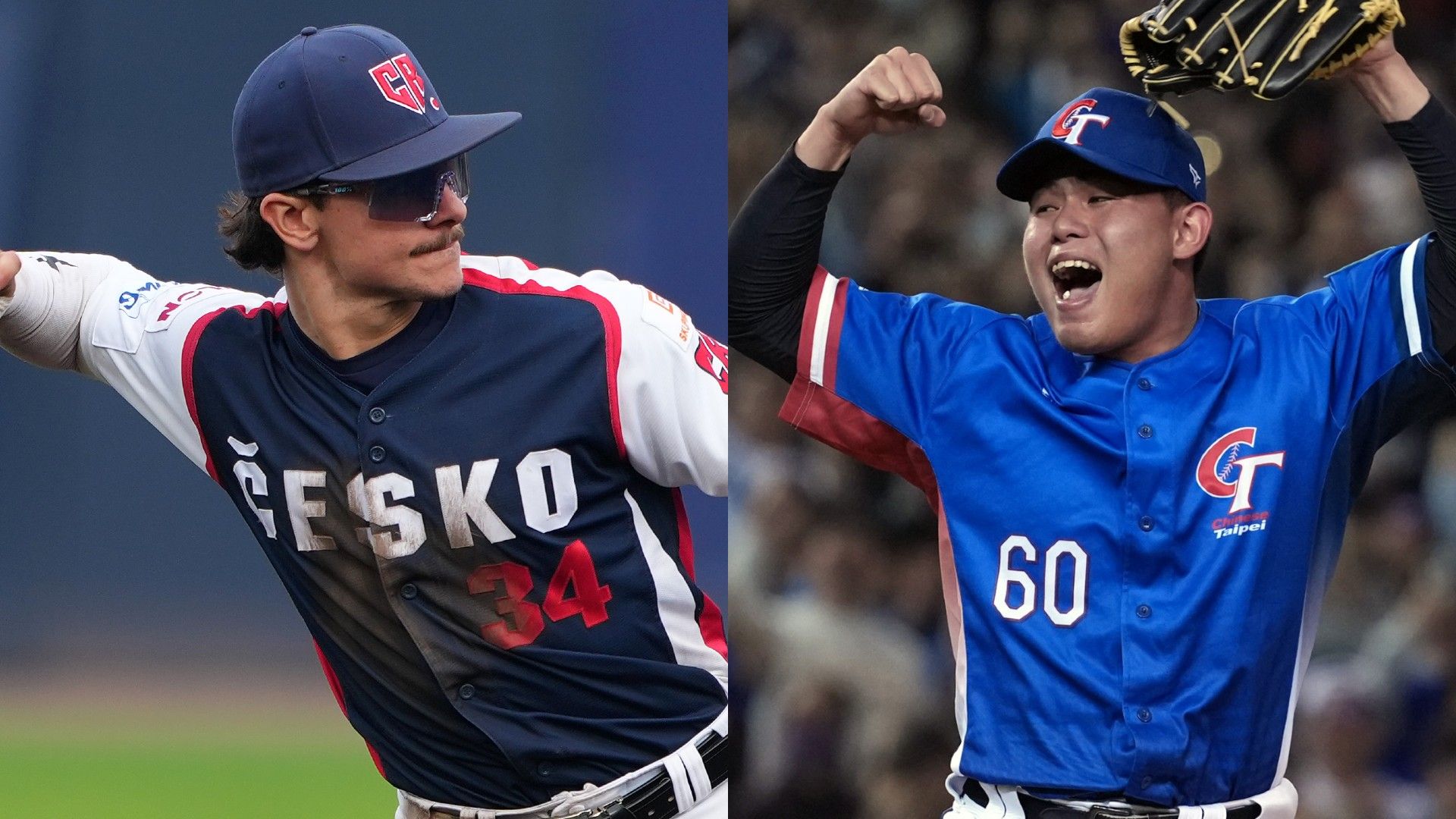 WBCチケット　3月7日チェコvsタイペイ戦 MP_William Escala_czech vs